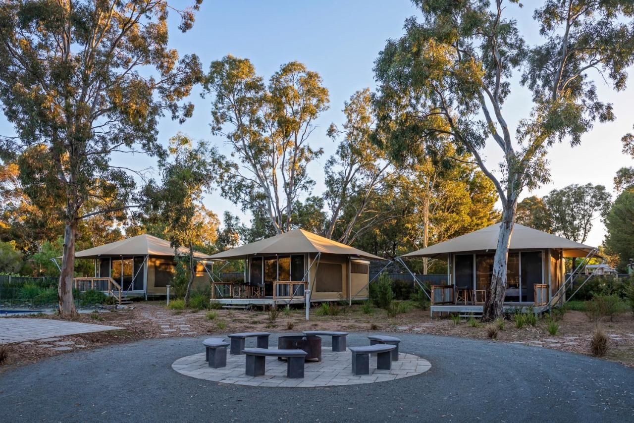 Discovery Parks - Barossa Valley Tanunda Exterior foto